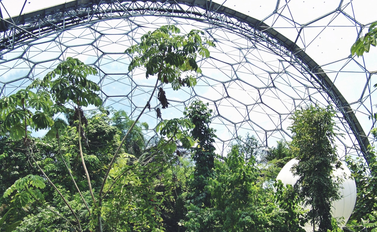 biosphere.jpg