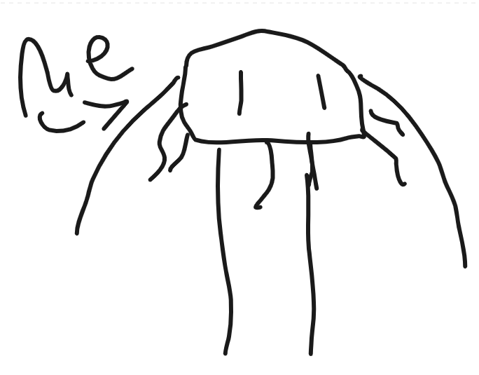 Jellyfish_age_12.png