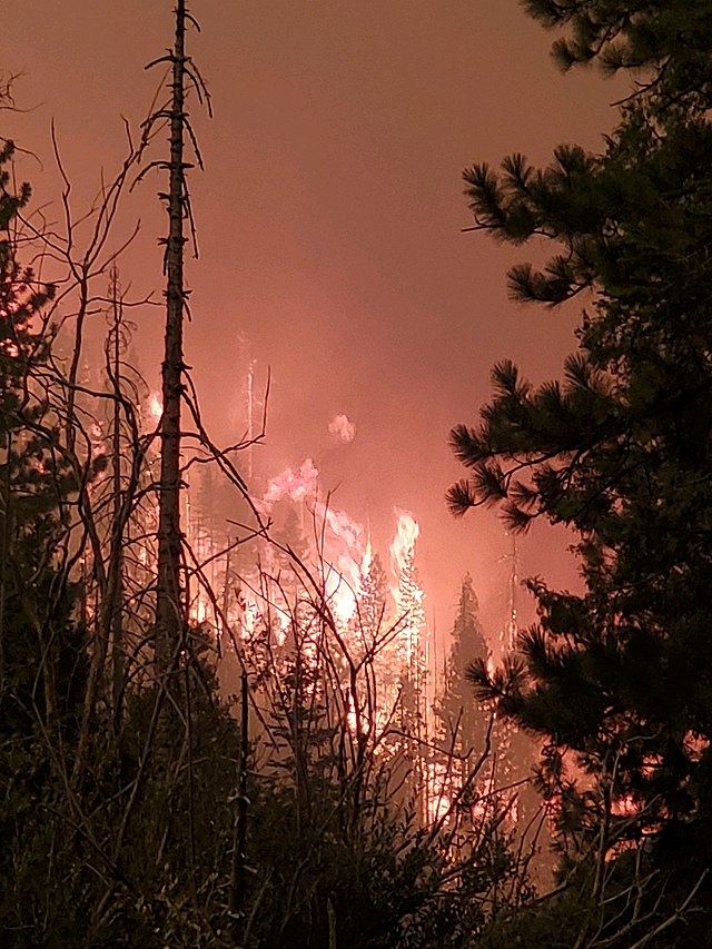 640px-Trees_burning_during_Creek_Fire.jpg