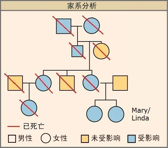 pedigree-chinese.png