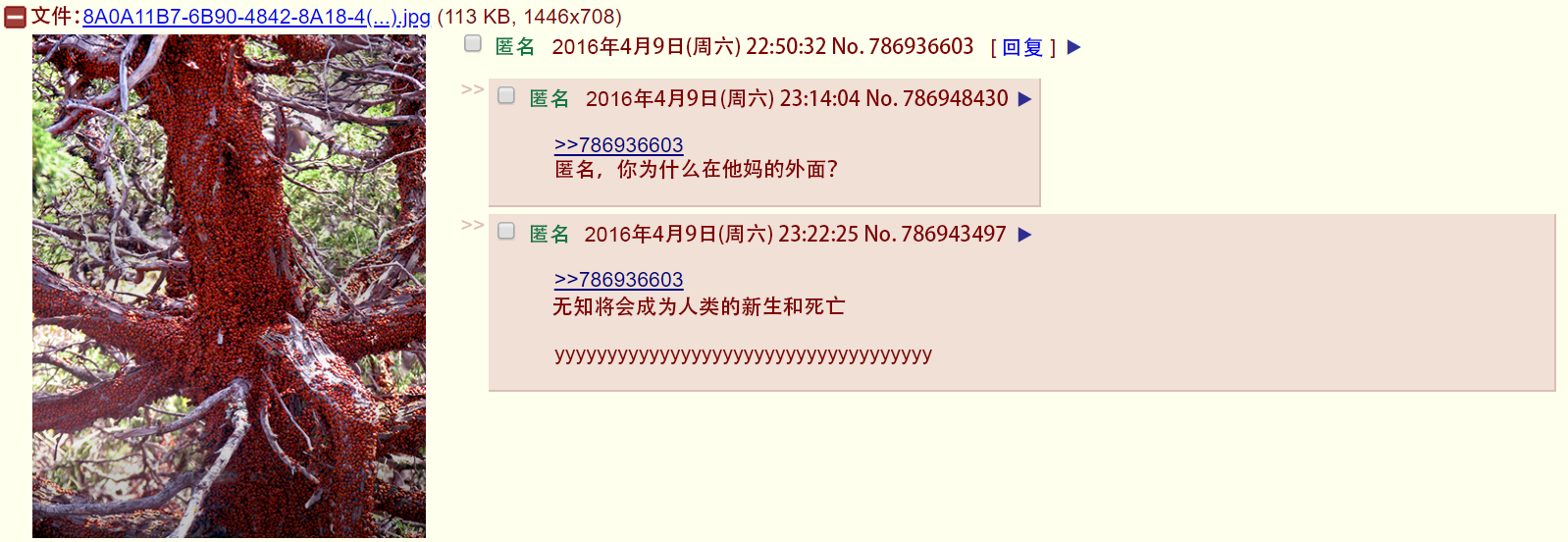 4chan-12-3.png