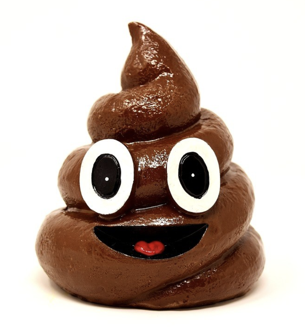 poop.jpg