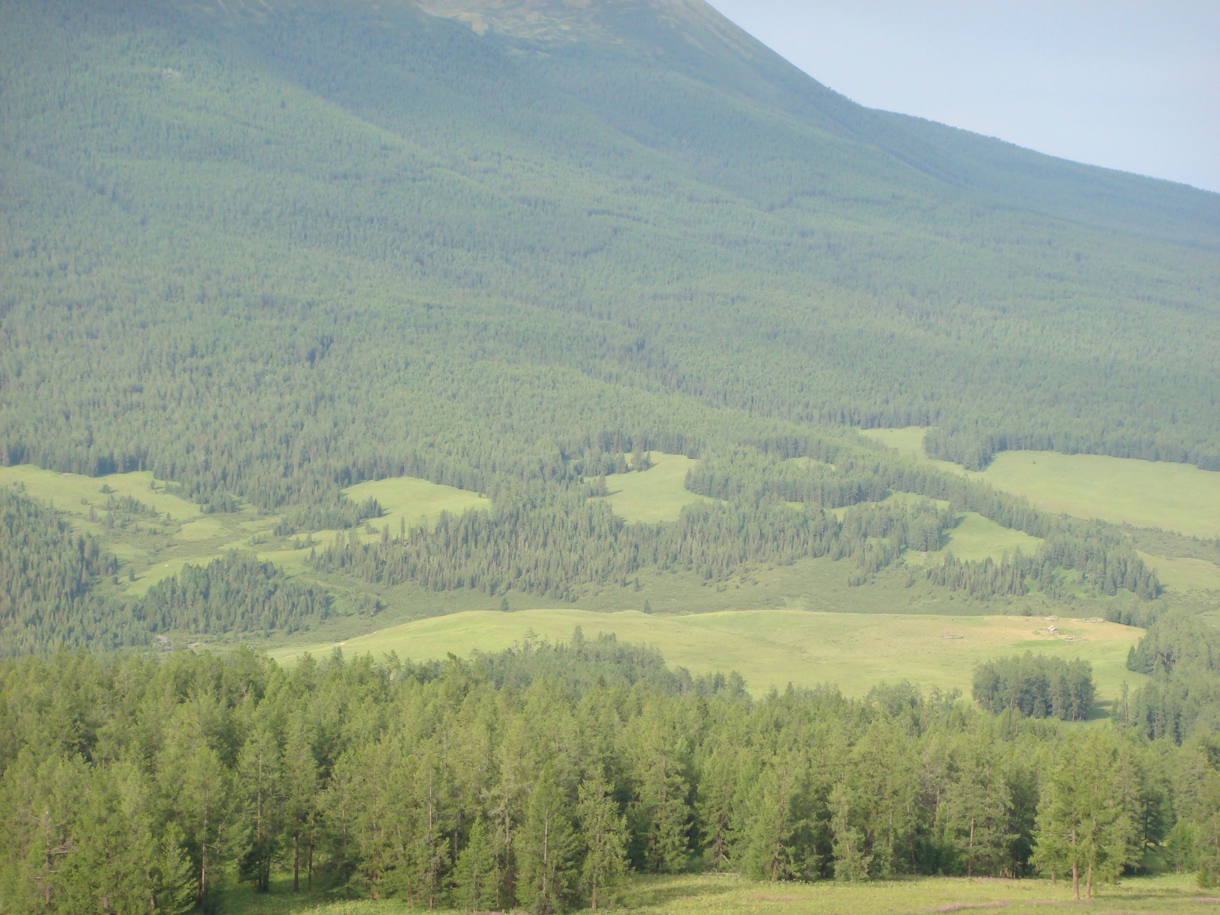 Altai-MountainsI.jpg