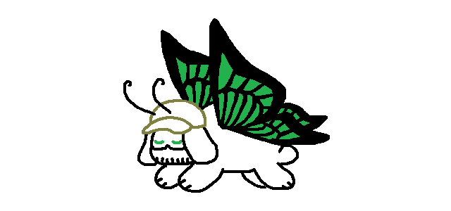 Butterfly-Kondraki-2