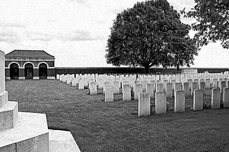 %E5%A2%93%E5%9B%AD.%20jpg