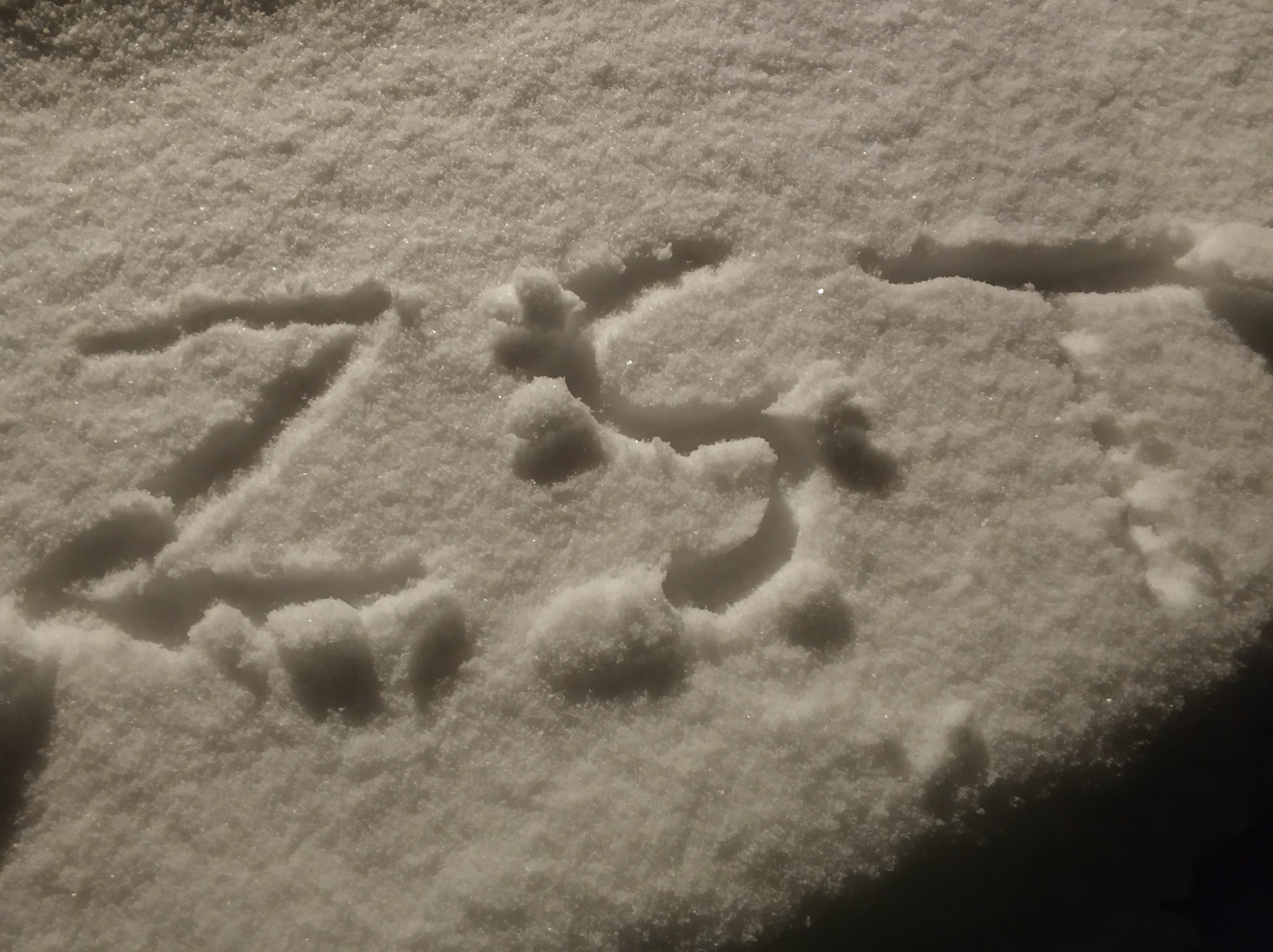 %E4%BD%9C%E6%AD%BB%E5%85%94