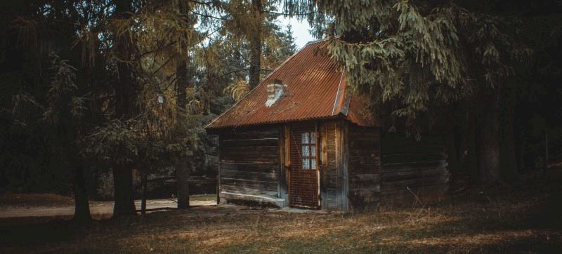 cabin.png