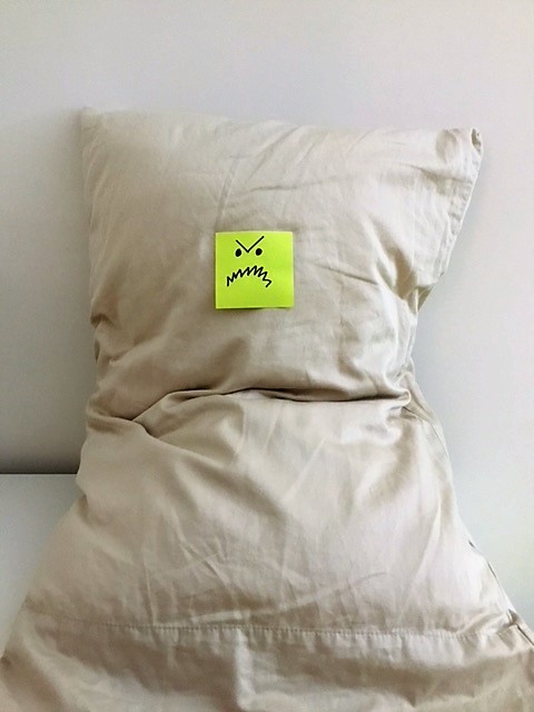 Pillow.JPG
