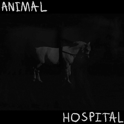animalhospital1.png