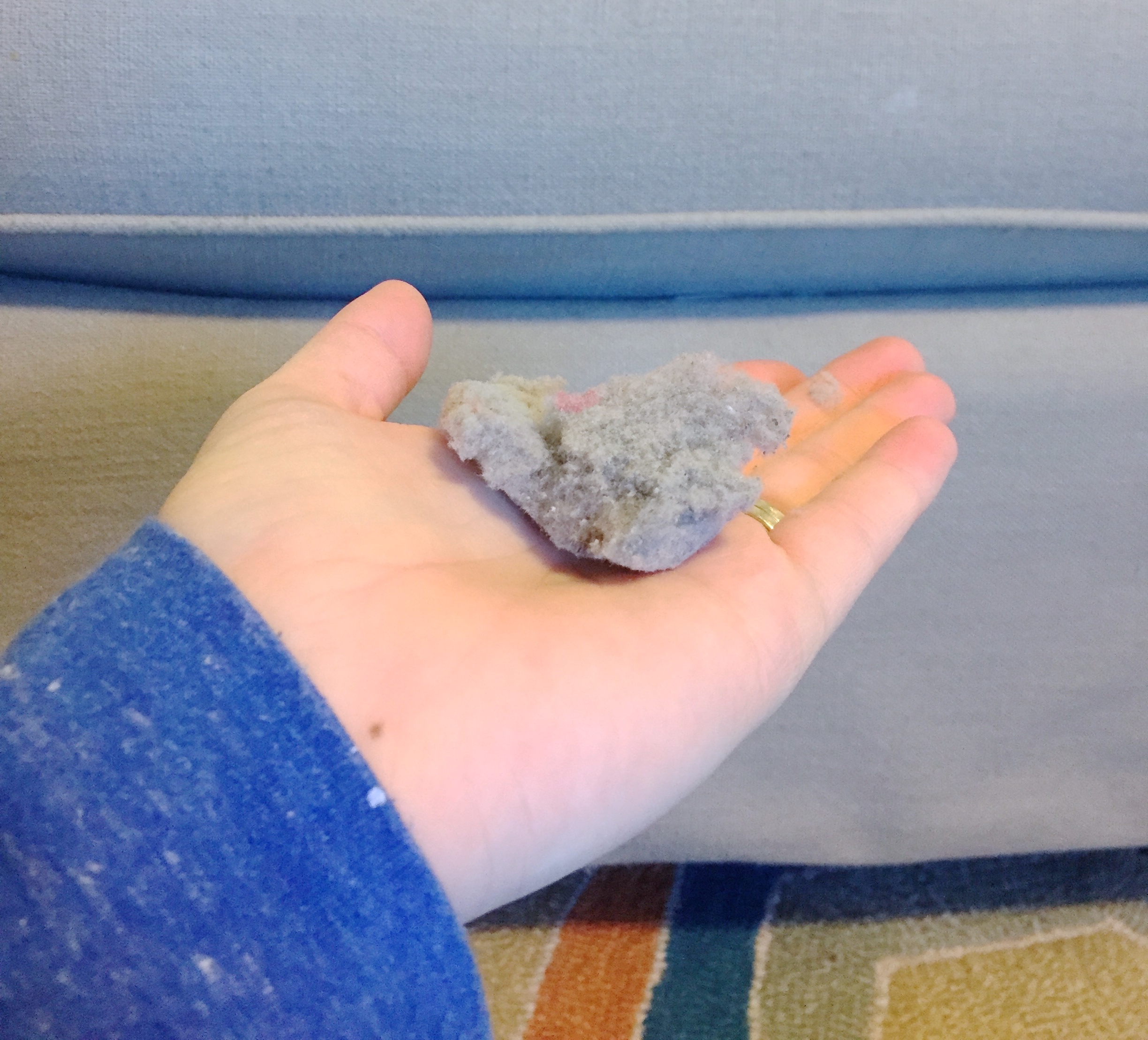 A whole bunch of them! lintbugs2.jpg