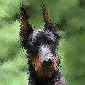 這是張 Sampson 的照片!抱歉這可能有點模糊。 goodboy.jpg