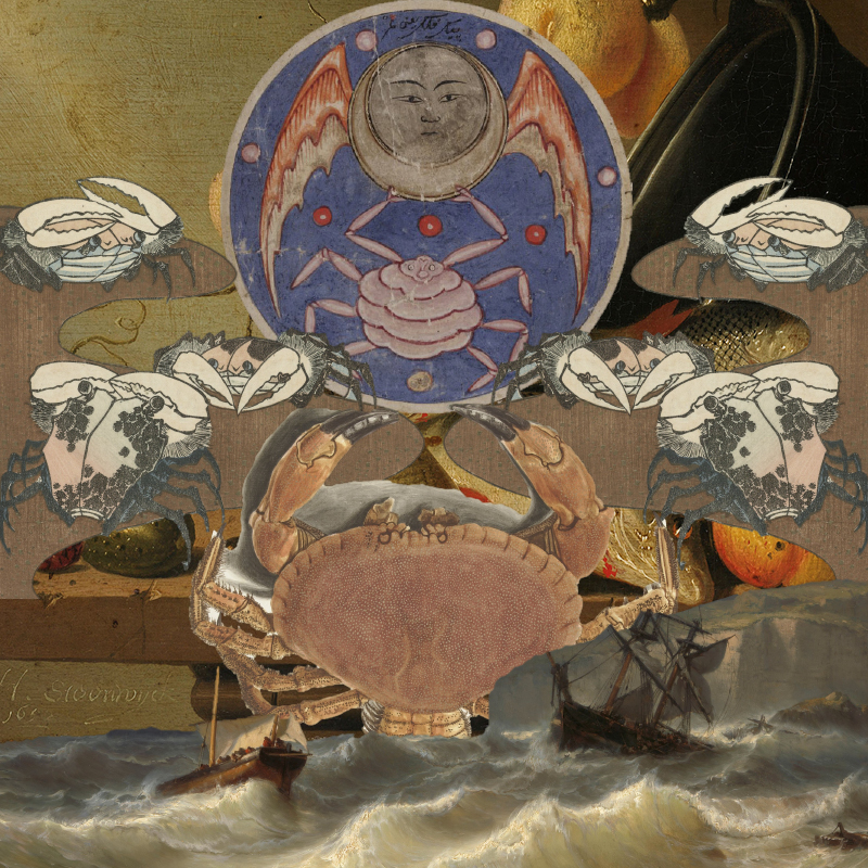 crab-f.jpg
