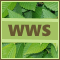 WWS