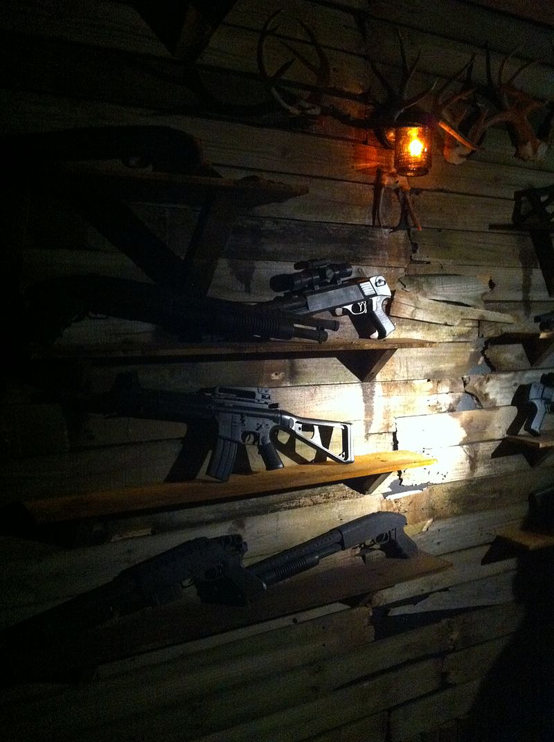 guns.jpg