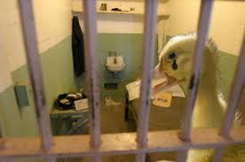duck-prison.jpg