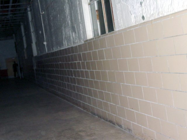 Man%20in%20hallway.jpg