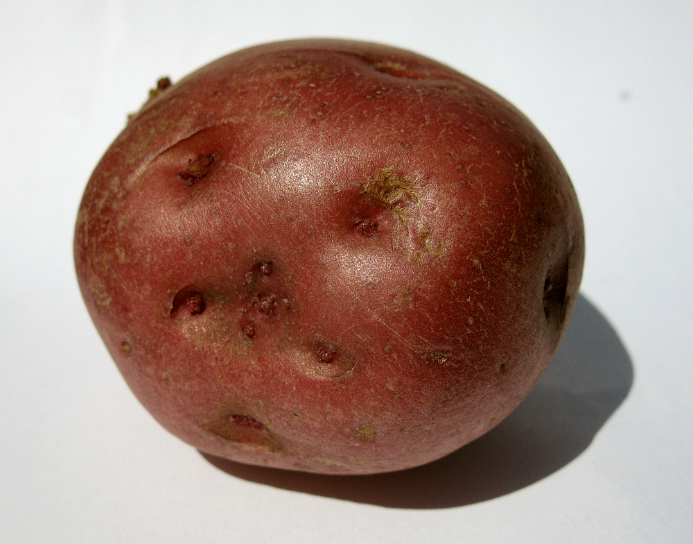 potato.jpg