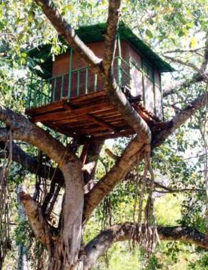 kerala_treehouse.jpg