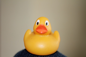 rubberduck.png
