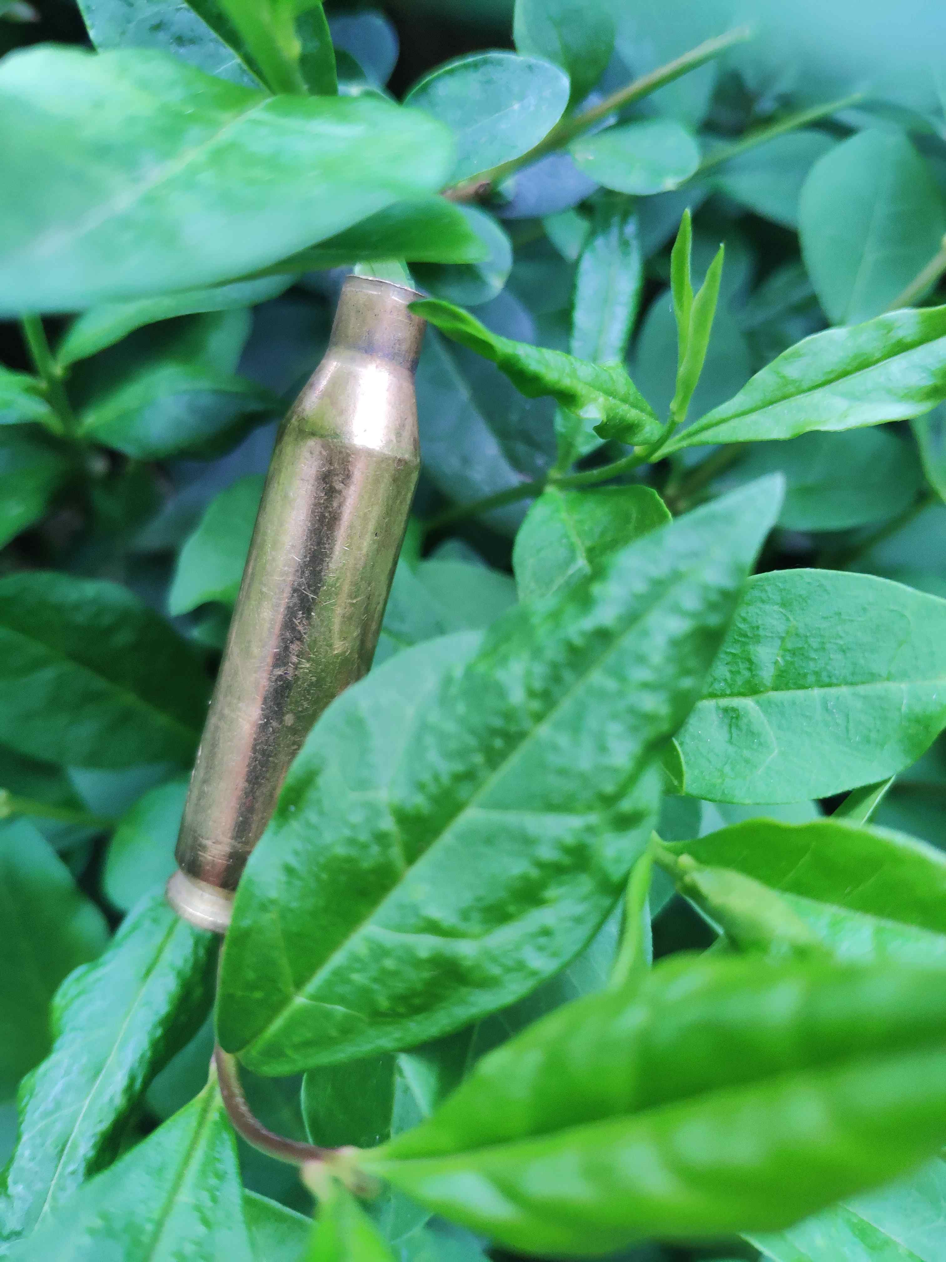 bullet_farm_compressed