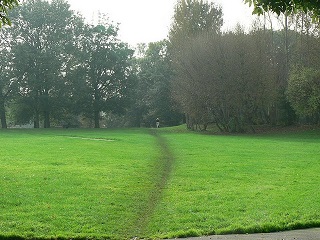 desirepath.jpg