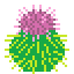 Burdock