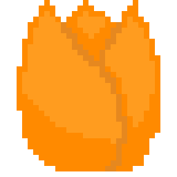 Tulip_orange