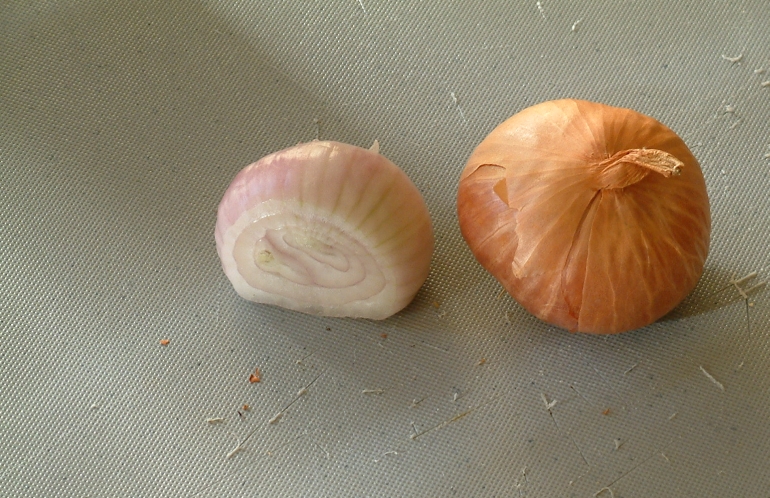shallots 