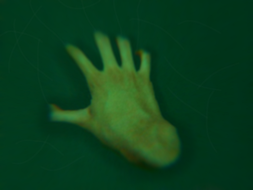 hand_comp.png