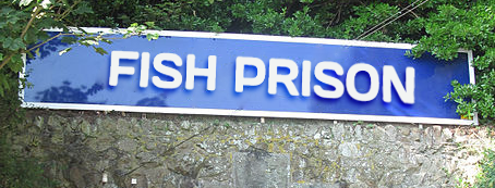 fishprison.png