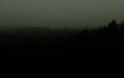 darkforest.png