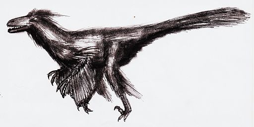 Utahraptor.jpg