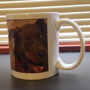 DOGMUG.jpg