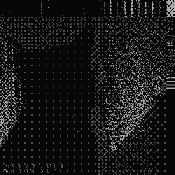 Contents of SCP-7549-1.