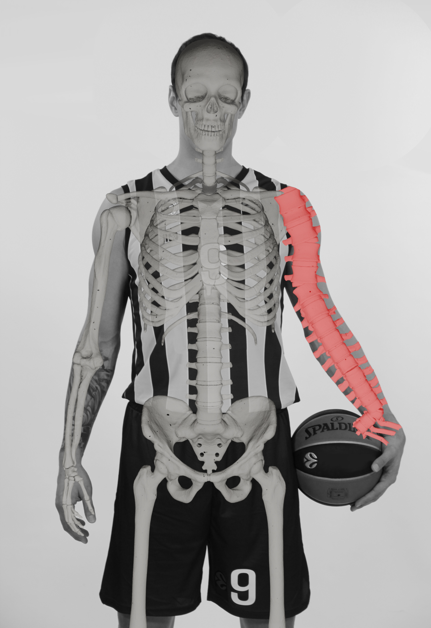Man holding basketball with overlaid human skeleton, except left arm is replaced with additional spine