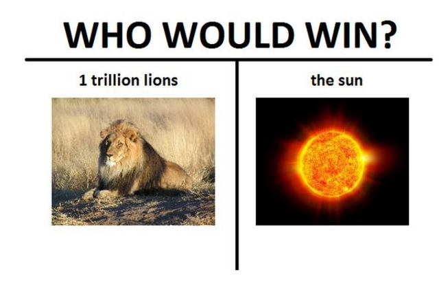 lionvssun.png