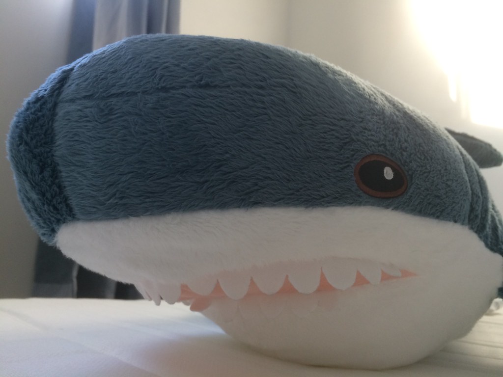 Sharkie.jpg