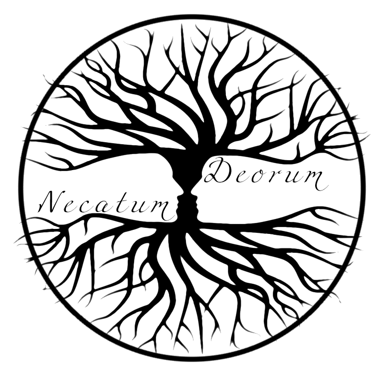 上苍之夜 上苍之夜