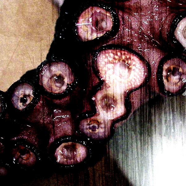 SK-BIO类型004 SK-BIO类型004