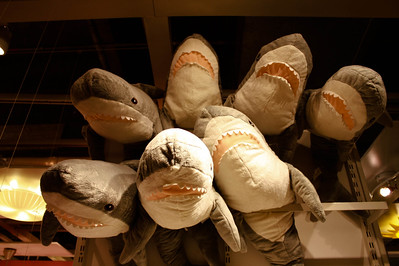 一个BLAHAJ,一个100厘米长的宜家鲨鱼玩偶