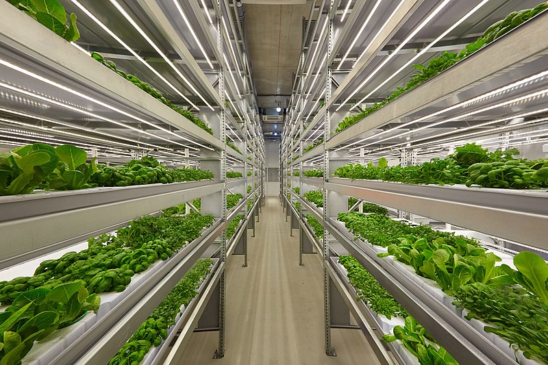 Vertical_farm_Finland.jpg