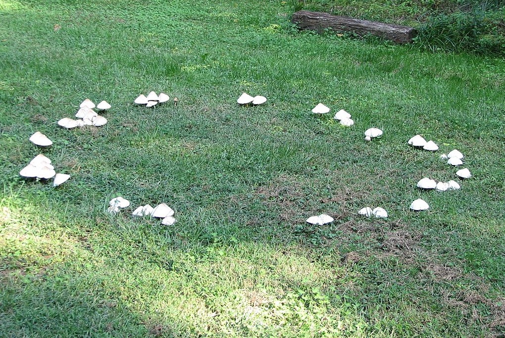 Fairy%20Ring%20Entrance