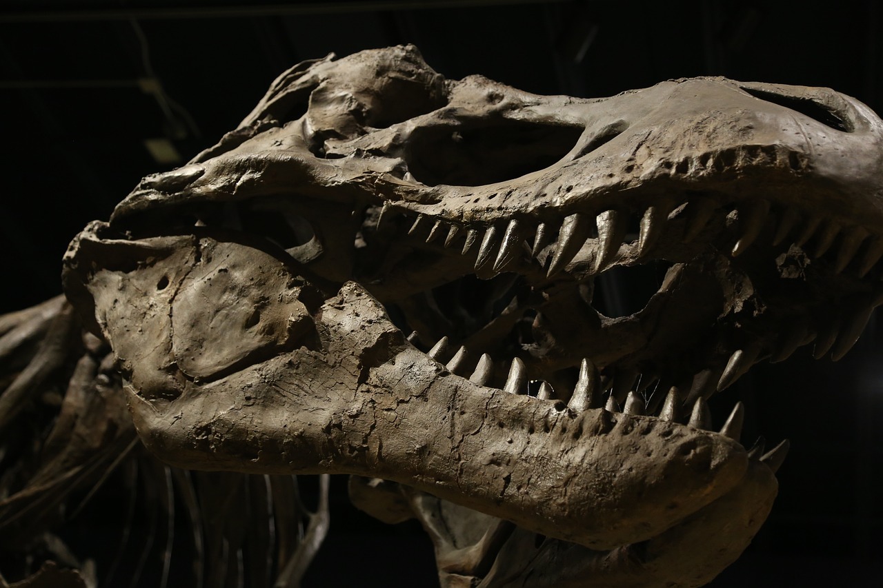 dinosaur-4684929_1280.jpg