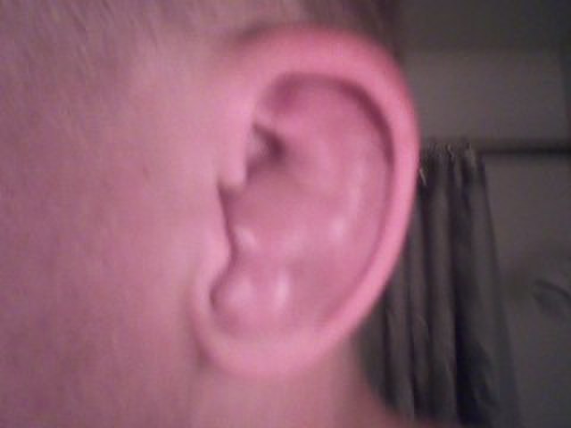 ear2.jpg