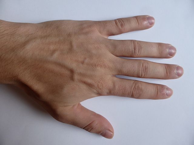 hand2.jpg