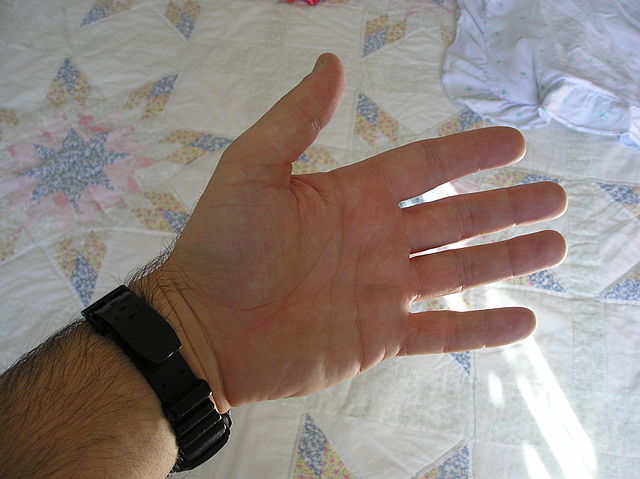 hand3.jpg