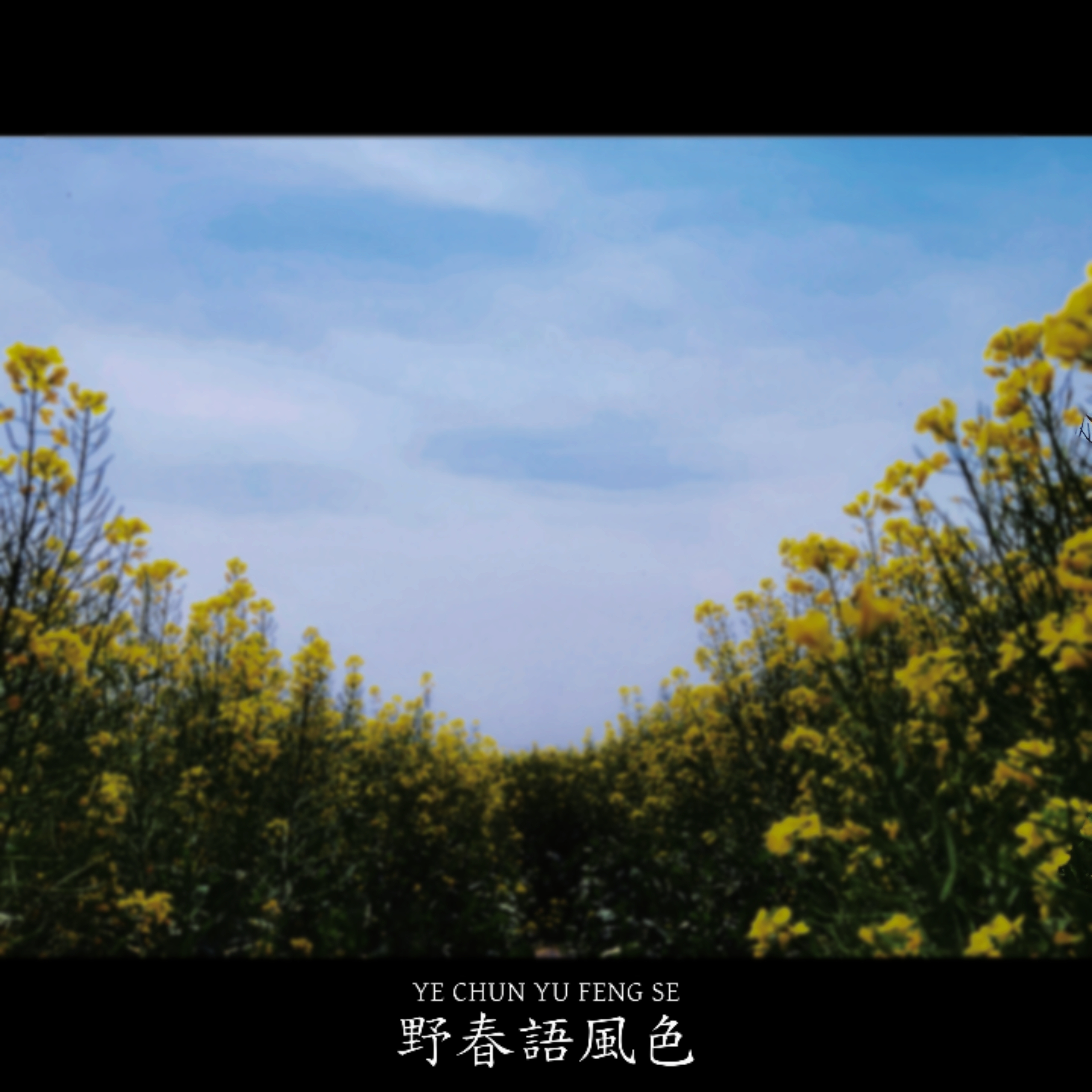 %E9%87%8E%E6%98%A5%E8%AA%9E%E9%A2%A8%E8%89%B2