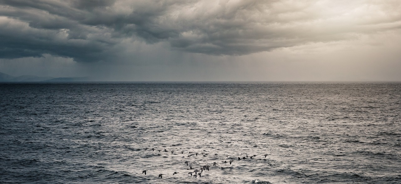 %E6%B5%B7%E4%BD%A0%E5%A6%88