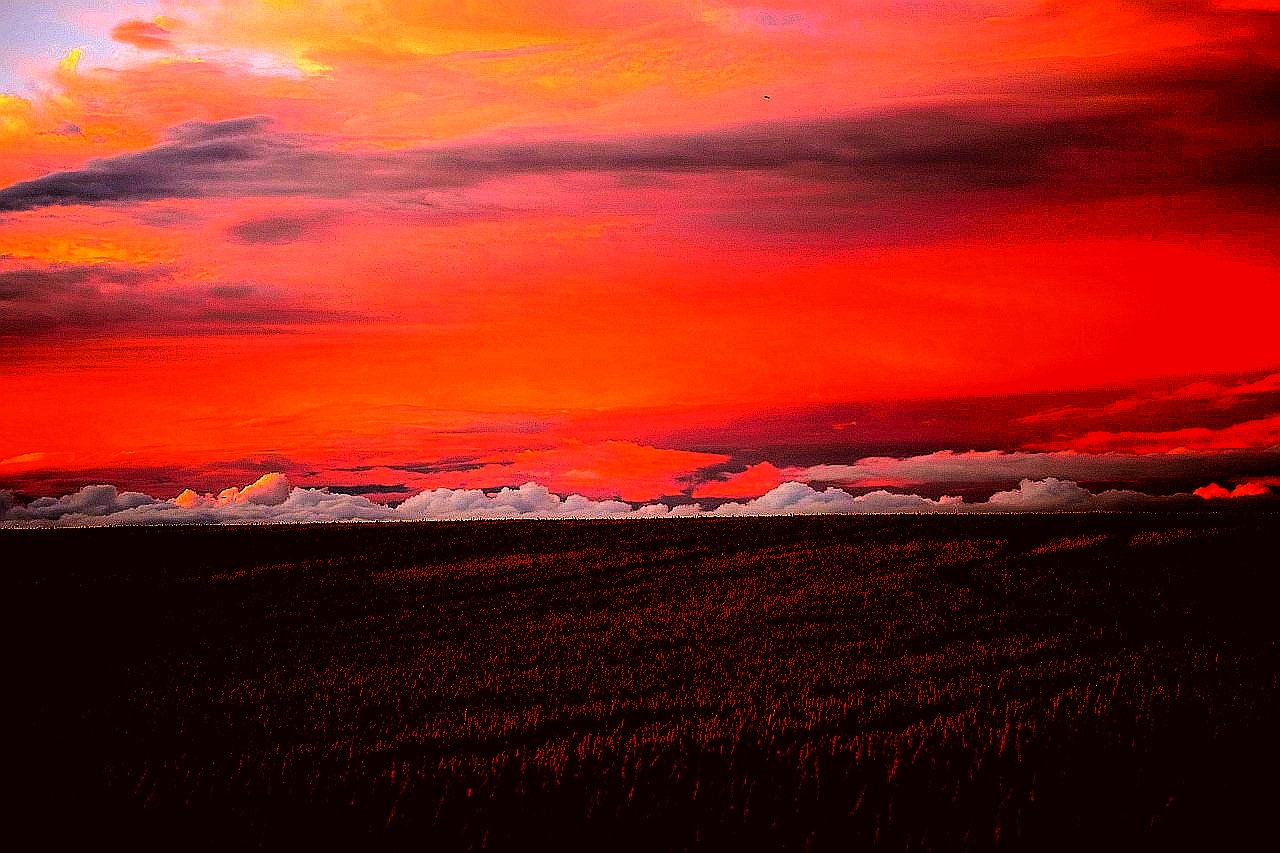 %E4%B8%8D%E5%8F%AF%E8%AF%B4%E4%B9%8B%E5%9F%8E