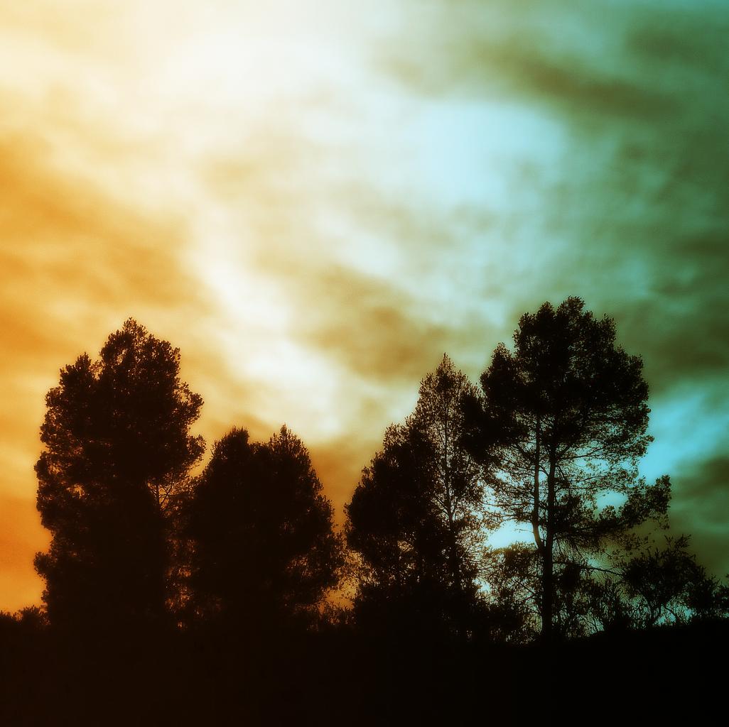 %E6%A0%91%E5%92%8C%E5%A4%A9%E7%A9%BA